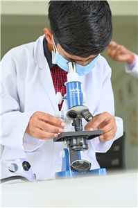 Academic