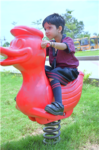 Activities